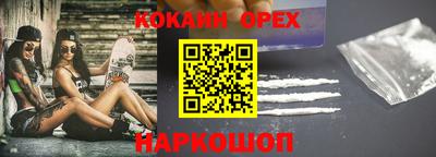 гашик Кандалакша