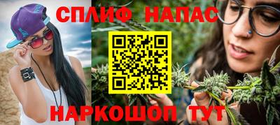 гашик Кандалакша