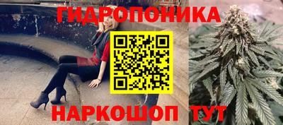 гашик Кандалакша
