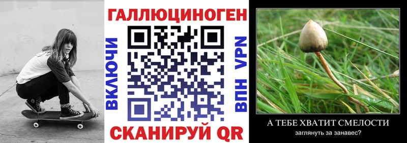 где можно купить наркотик  Чайковский  Галлюциногенные грибы ЛСД 