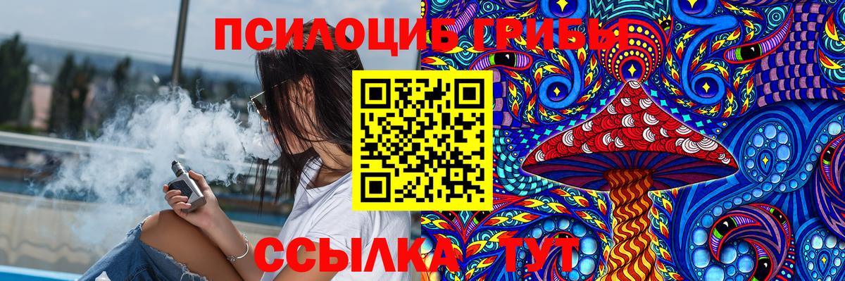 Псилоцибиновые грибы прущие грибы Чайковский