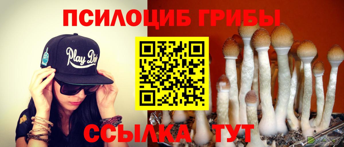 Галлюциногенные грибы Psilocybe  Галлюциногенные грибы Cubensis  Чайковский 
