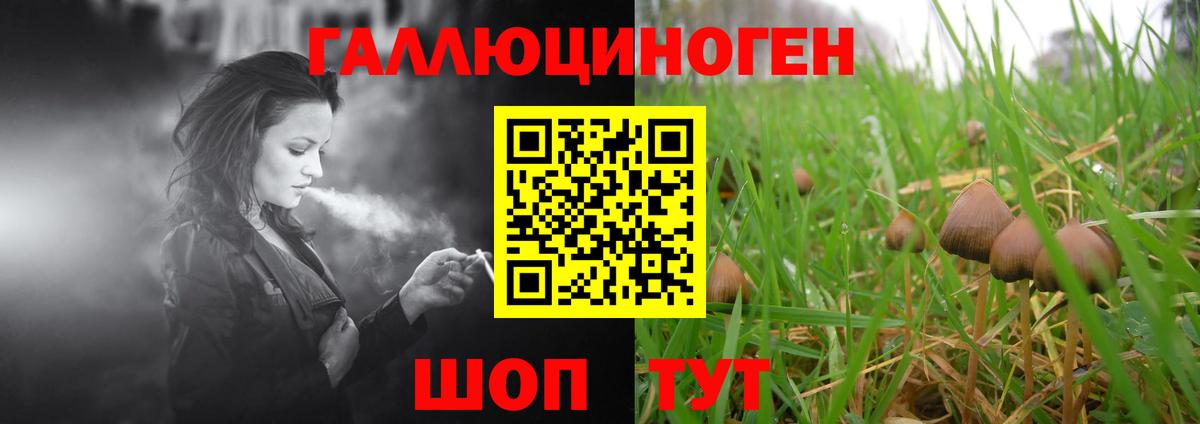 Галлюциногенные грибы мицелий  Вход с VPN  Псилоцибиновые грибы Cubensis  Чайковский 